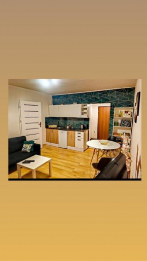 APARTAMENT CHEŁMSKO - rowery gratis
